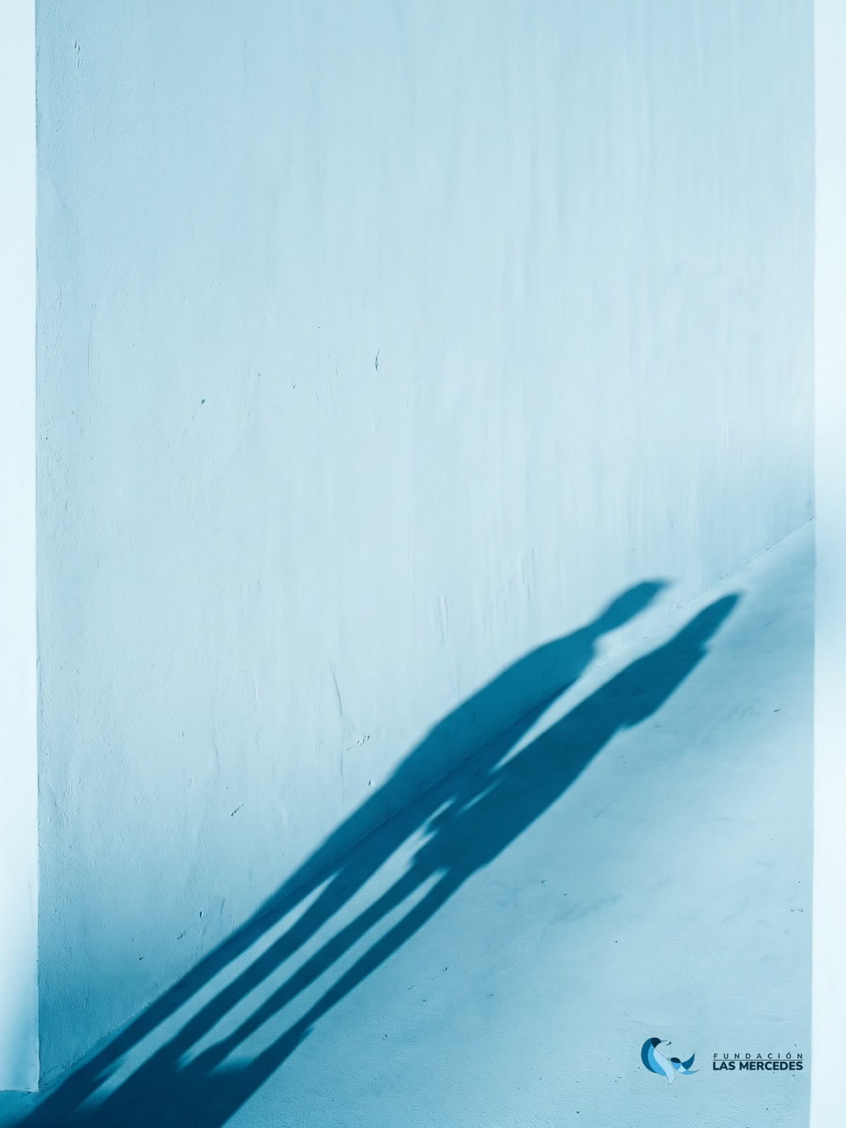 Las sombras de dos personas caminando lado a lado, proyectadas sobre un muro