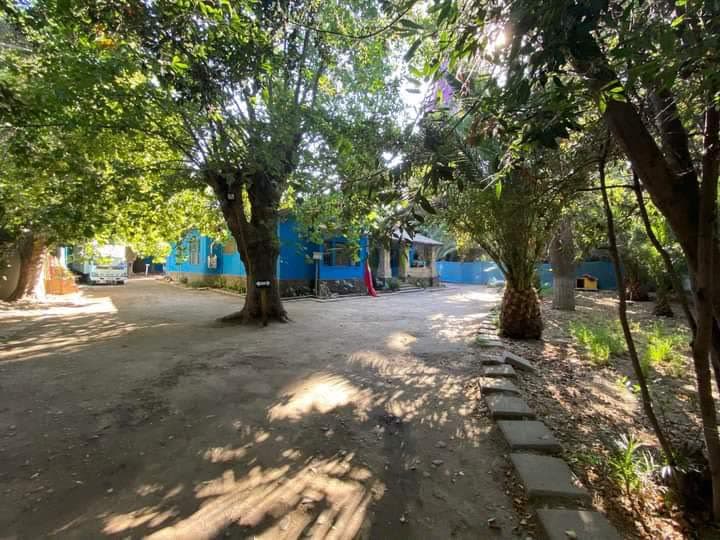 Entrada del centro: la casa azul entre los árboles de la arboleda