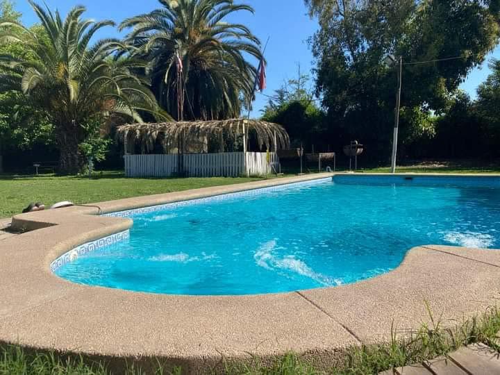 Piscina exterior del centro junto al quincho rodeado de palmeras